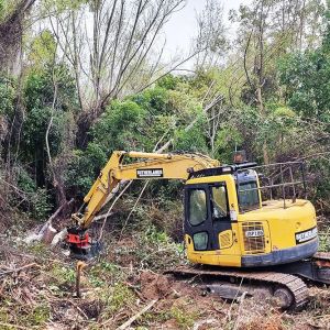 Land clearing Christchurch